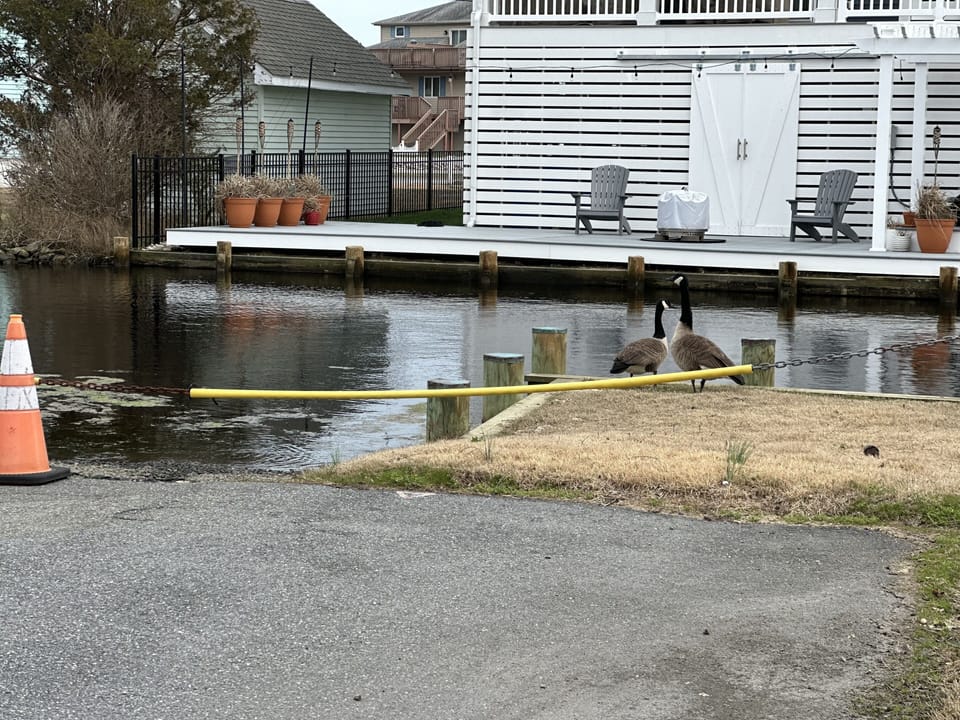 End of street launch between Evans and Seventh street. Launch your SUP/Kayak!