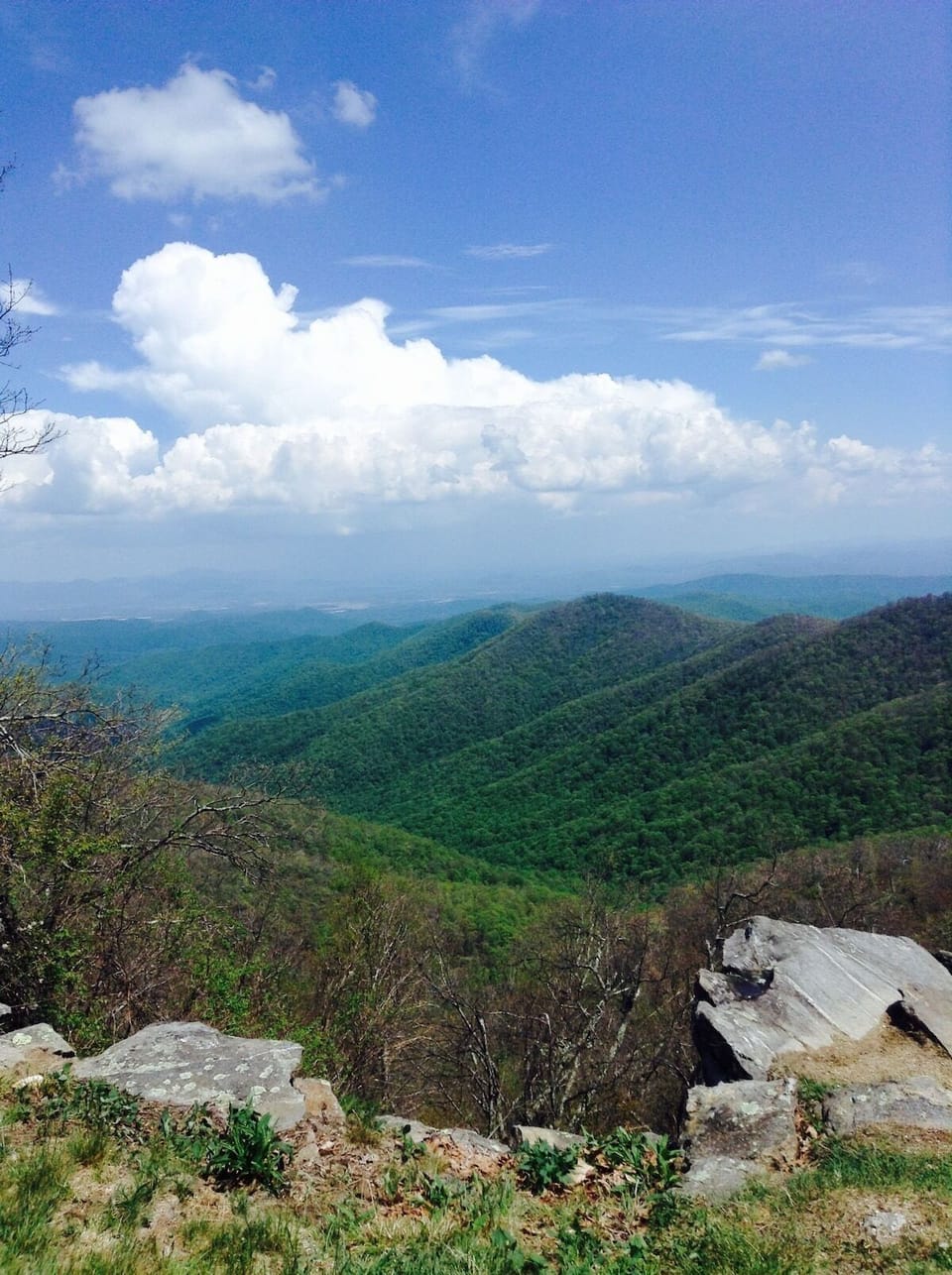 View from the Blue Ridge Parkway - overlooking Mills River Valley