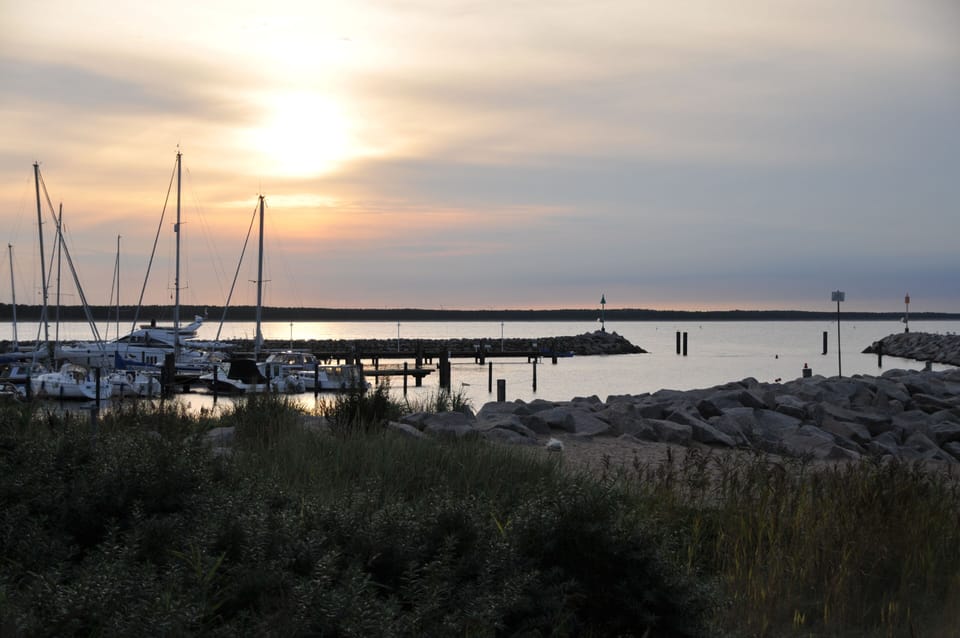 Marina