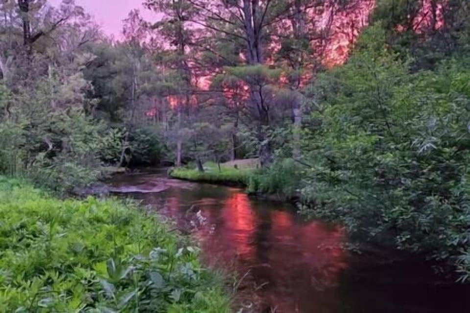 314dce56 333b 46b1 b4a3 552f8c504755