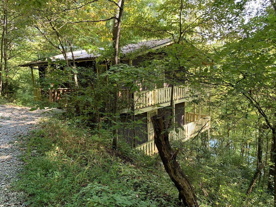 View from the lane as you drive up to the cabin. 
