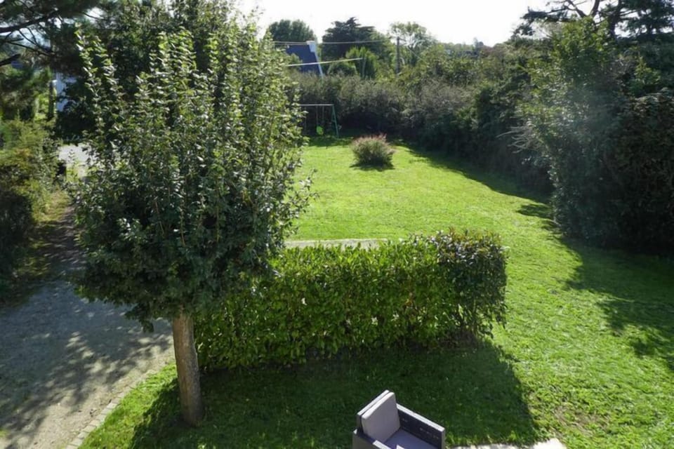 Garden [summer]
