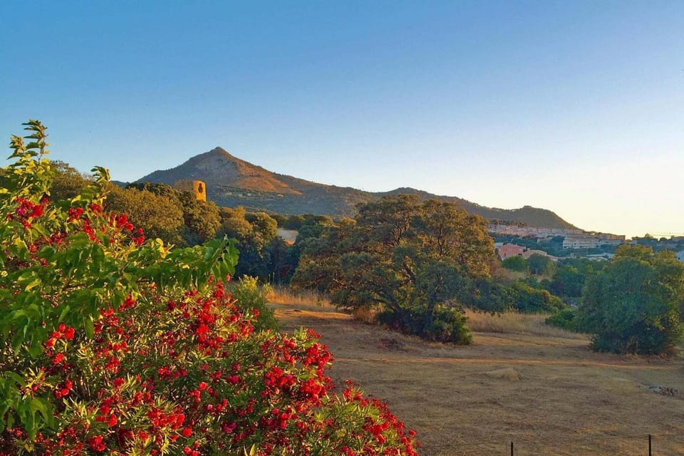 Surroundings [summer] (1-5 km)