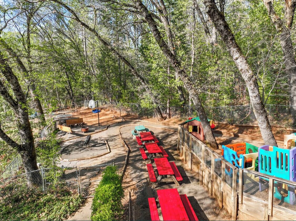 Fire pit! 5 picnic tables