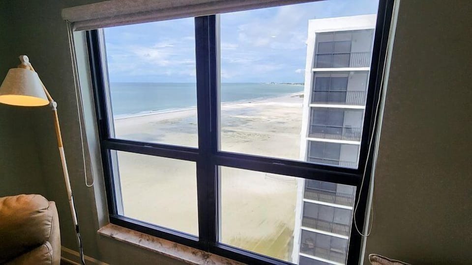 Living Room Window View