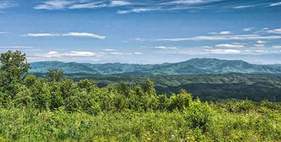 180 Deg view of Mt. Le Conte