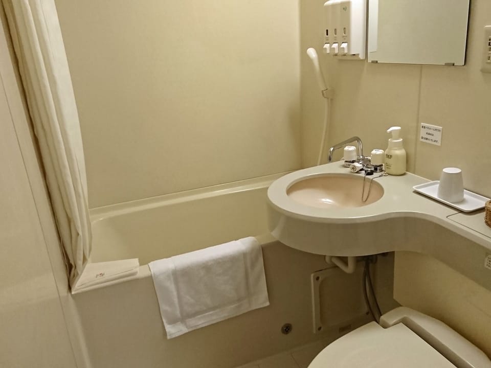 Bathtub, shower, toilet, shampoo & rinse, soap, towel, bath towel