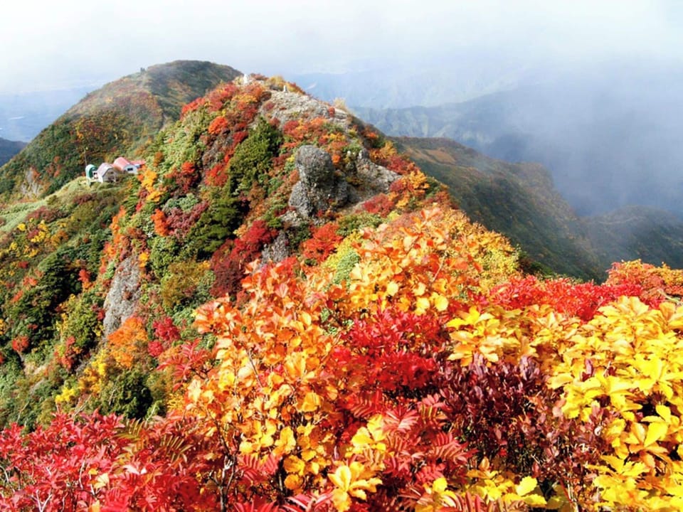 ・[Nearby area] You can see the autumn leaves from the ropeway in mid-October. On a clear day, you can also see the Sea of Japan.