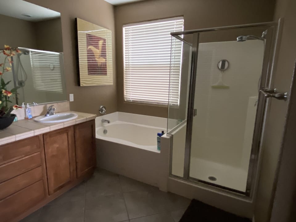 Master bathroom 