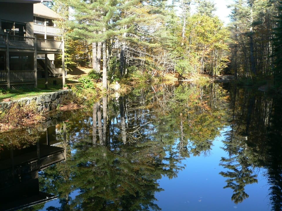 MIRROR REFLECTIONS IN LONG NATURAL POOL, FROM THE FOOTBRIDGE.