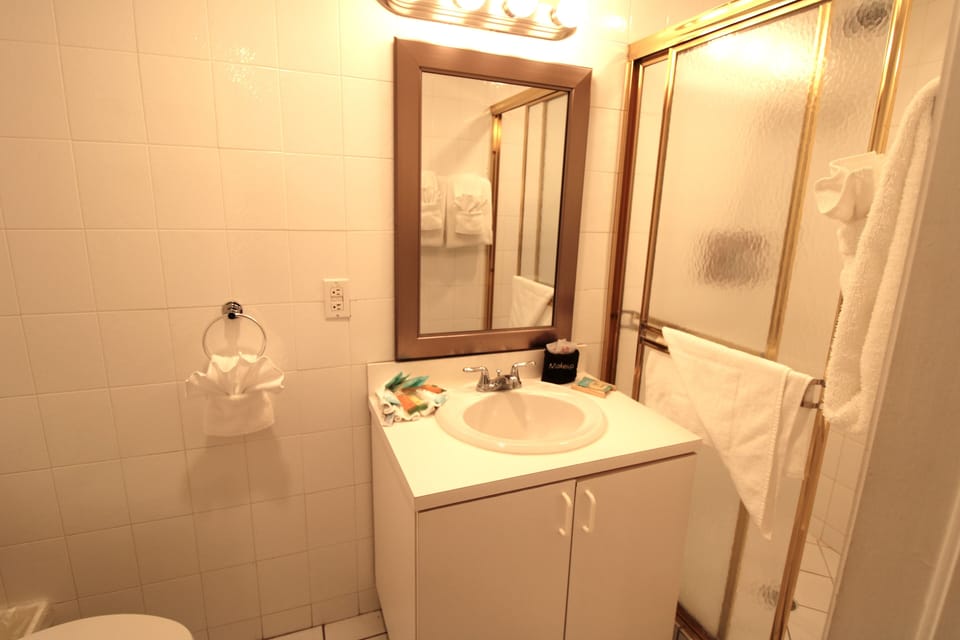 Downstairs bathroom