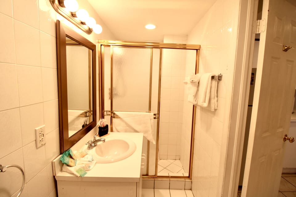 Downstairs bathroom