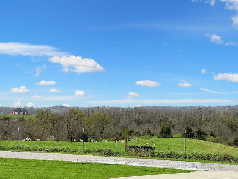 Take in the breathtaking views of expansive fields from the front yard!