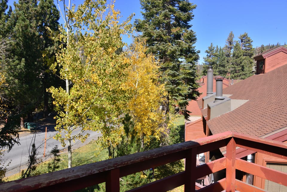 Balcony view