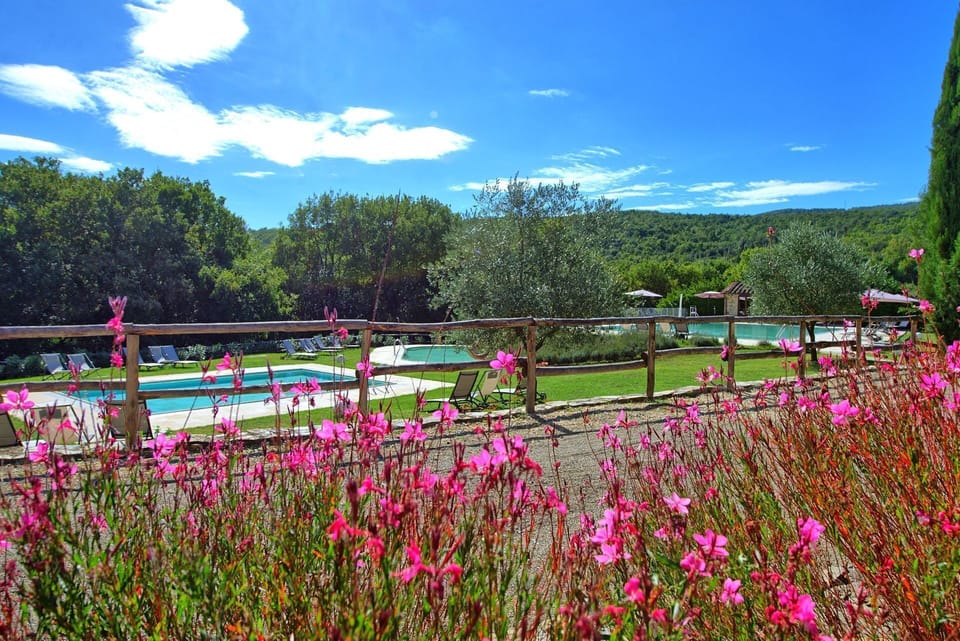 Garden, Pool