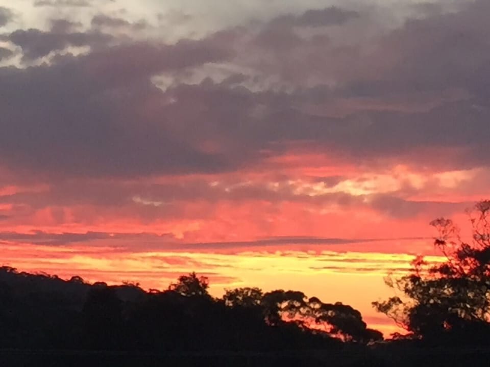Sunset from balcony 
