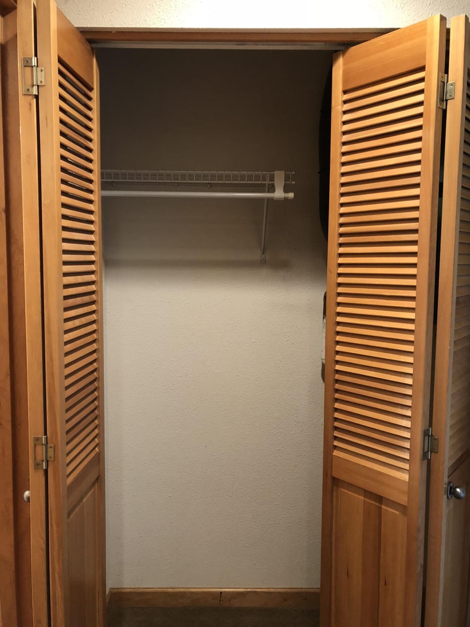 large hallway and bedroom closets, fully available, no owner belongings.