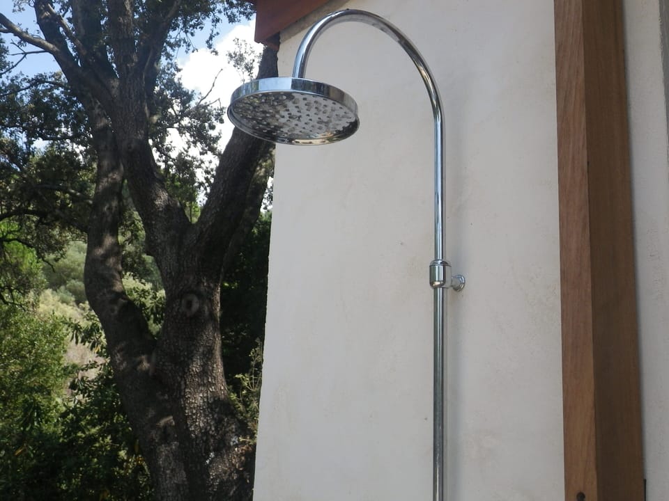Hand-held showerhead