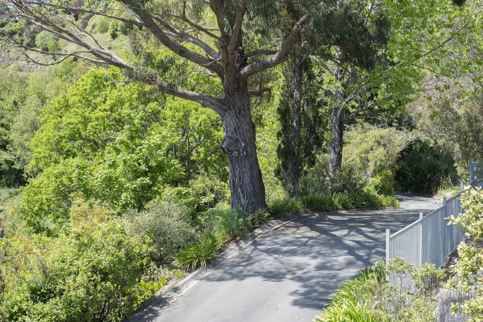 Driveway to property