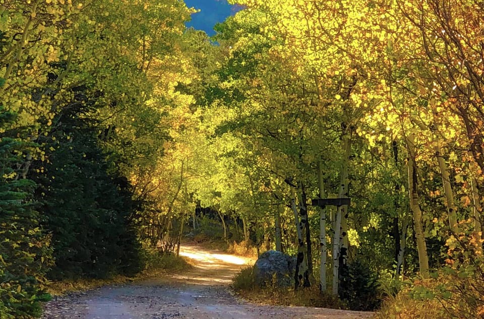 Scenic stroll out your door
