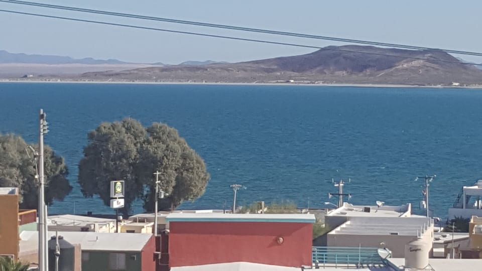 Rambo's House View: Cholla Bay
Large Trees : JJ's Cantina