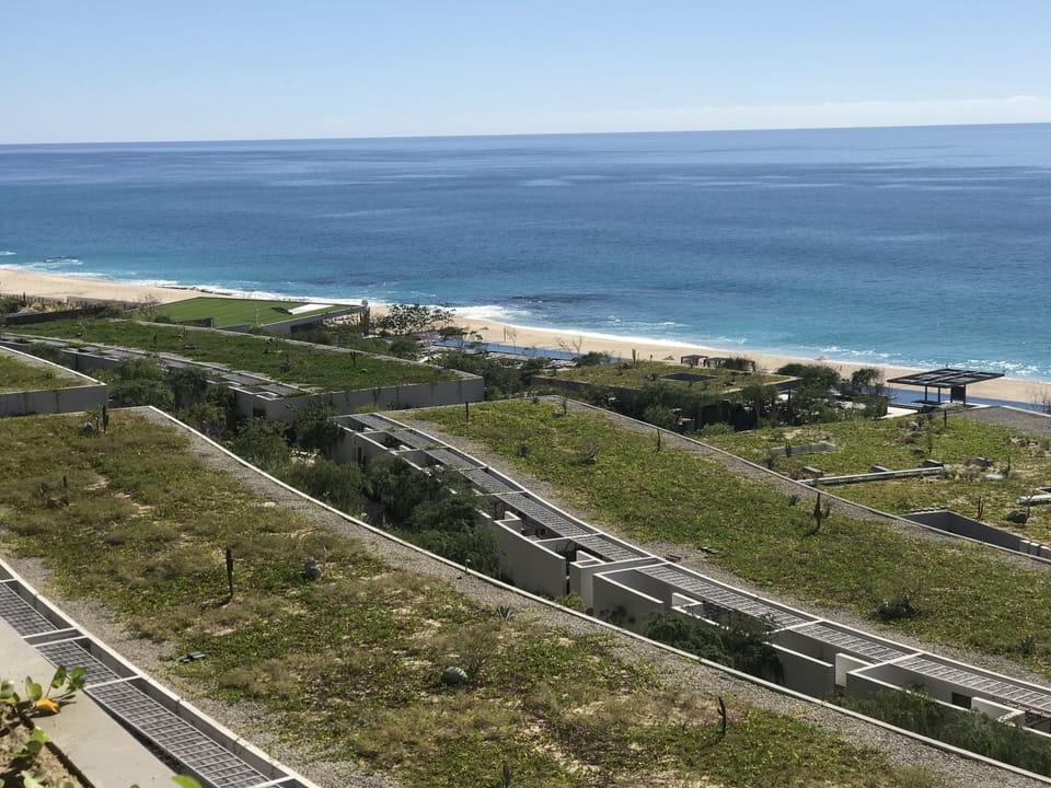 native plants/landscaping on the roofs of the lower level units and restaurants