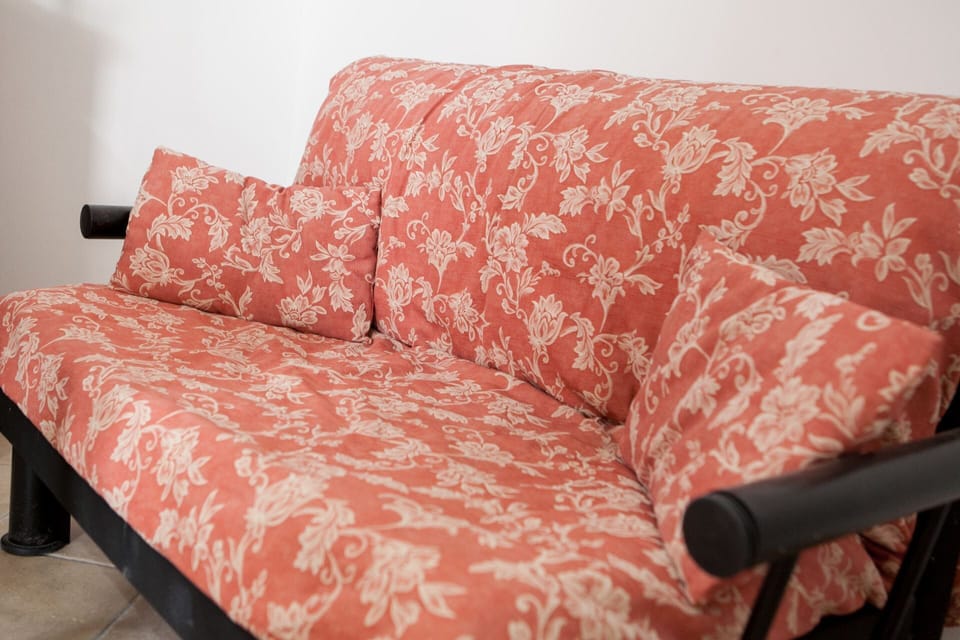 Living room with sofa bed