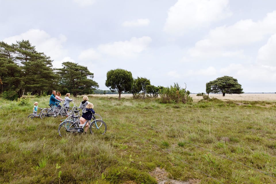 Surroundings [summer] (1-5 km)