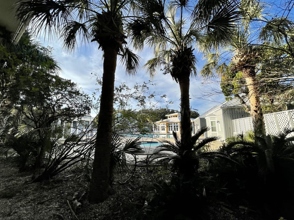 Front views from the Sunsuite. 