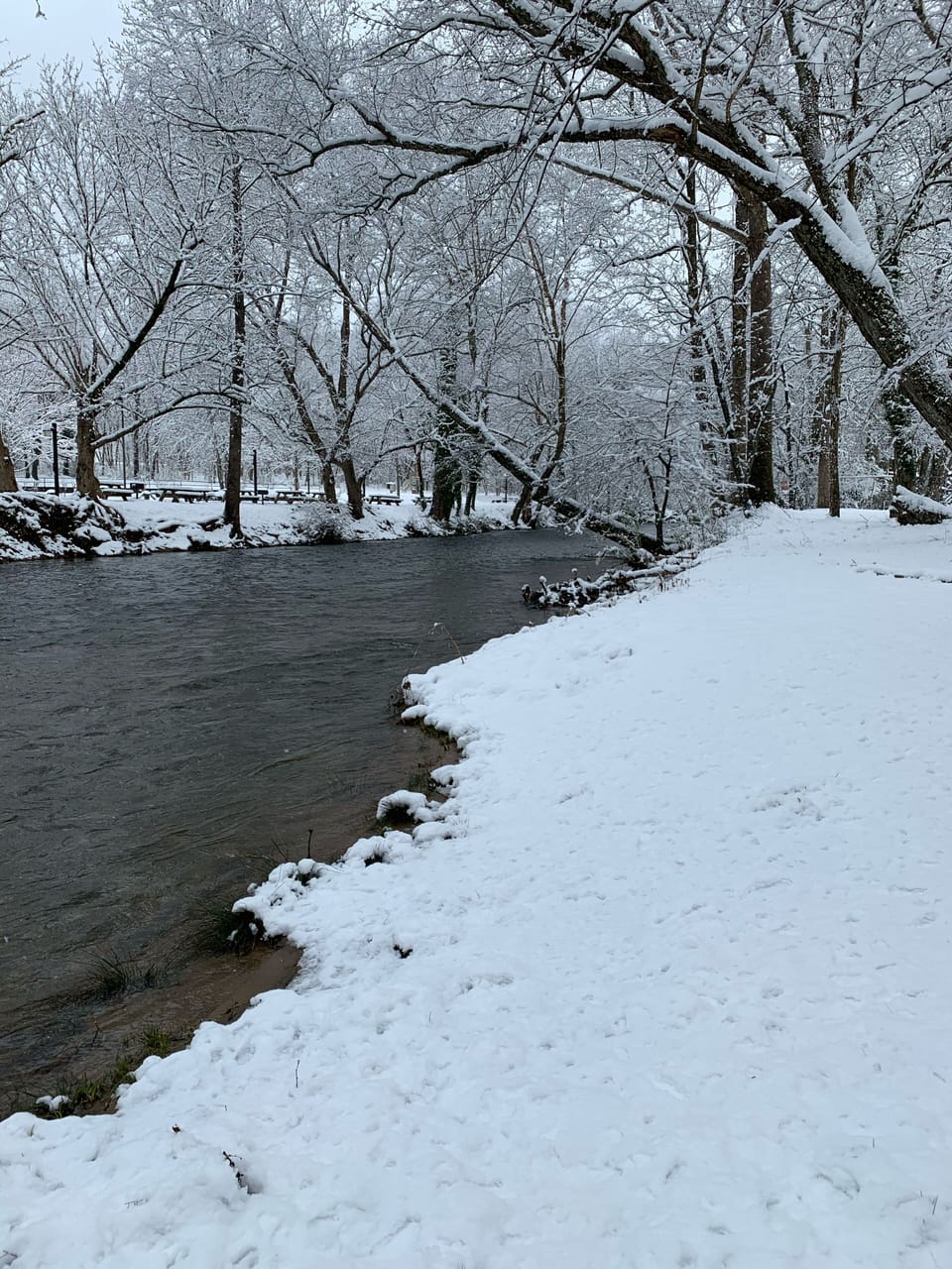 Das Mahlberg Gasthaus exclusive river access to complex. Across from water park.