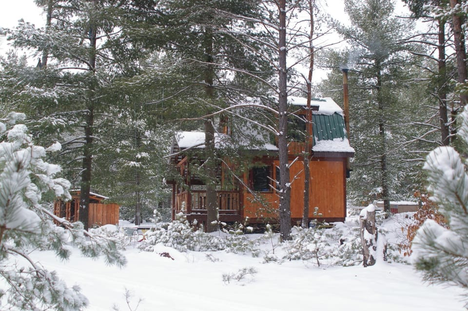 Lion's Den Cabin