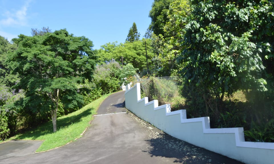 Driveway into the property