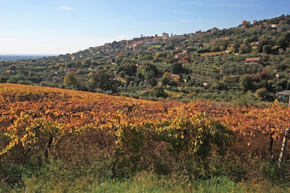 Apartment Pineta - in Vigna Luisa Resort - near Rome Apartment in Lazio