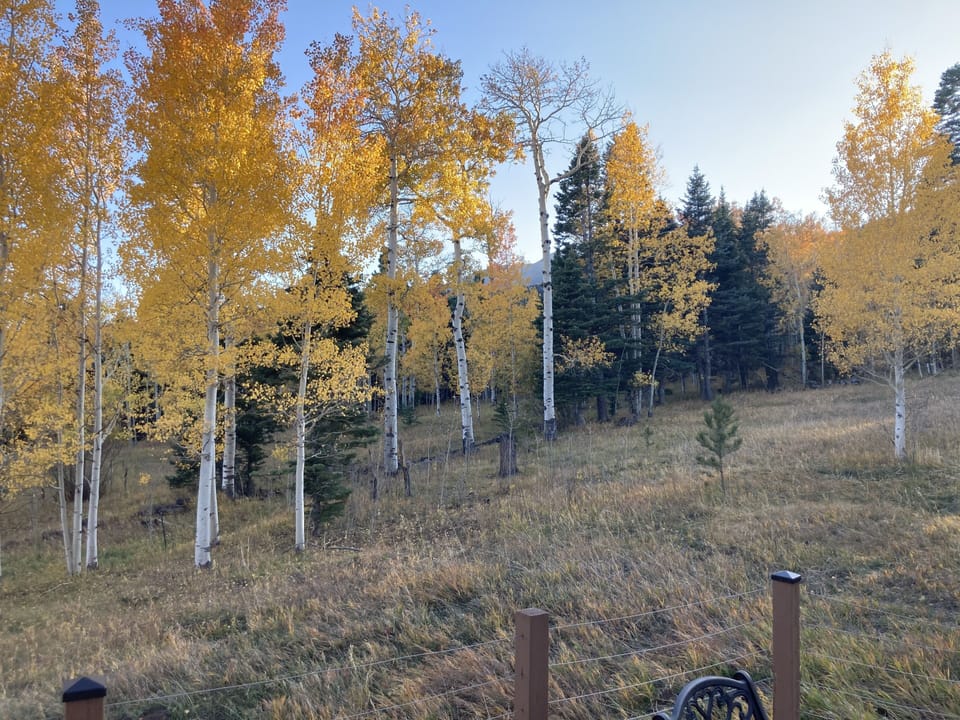 Deck view in late September and early October.