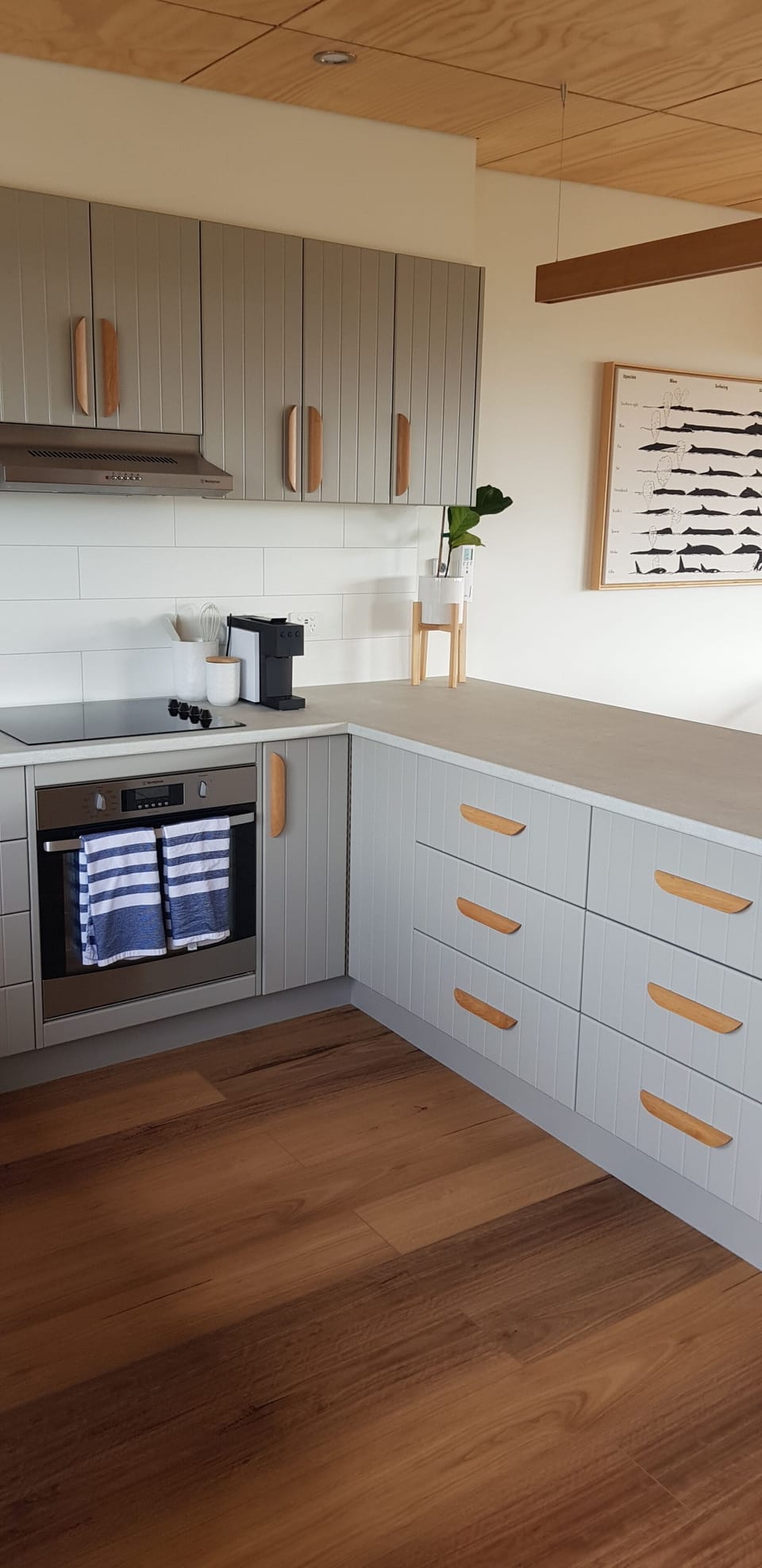 Oven