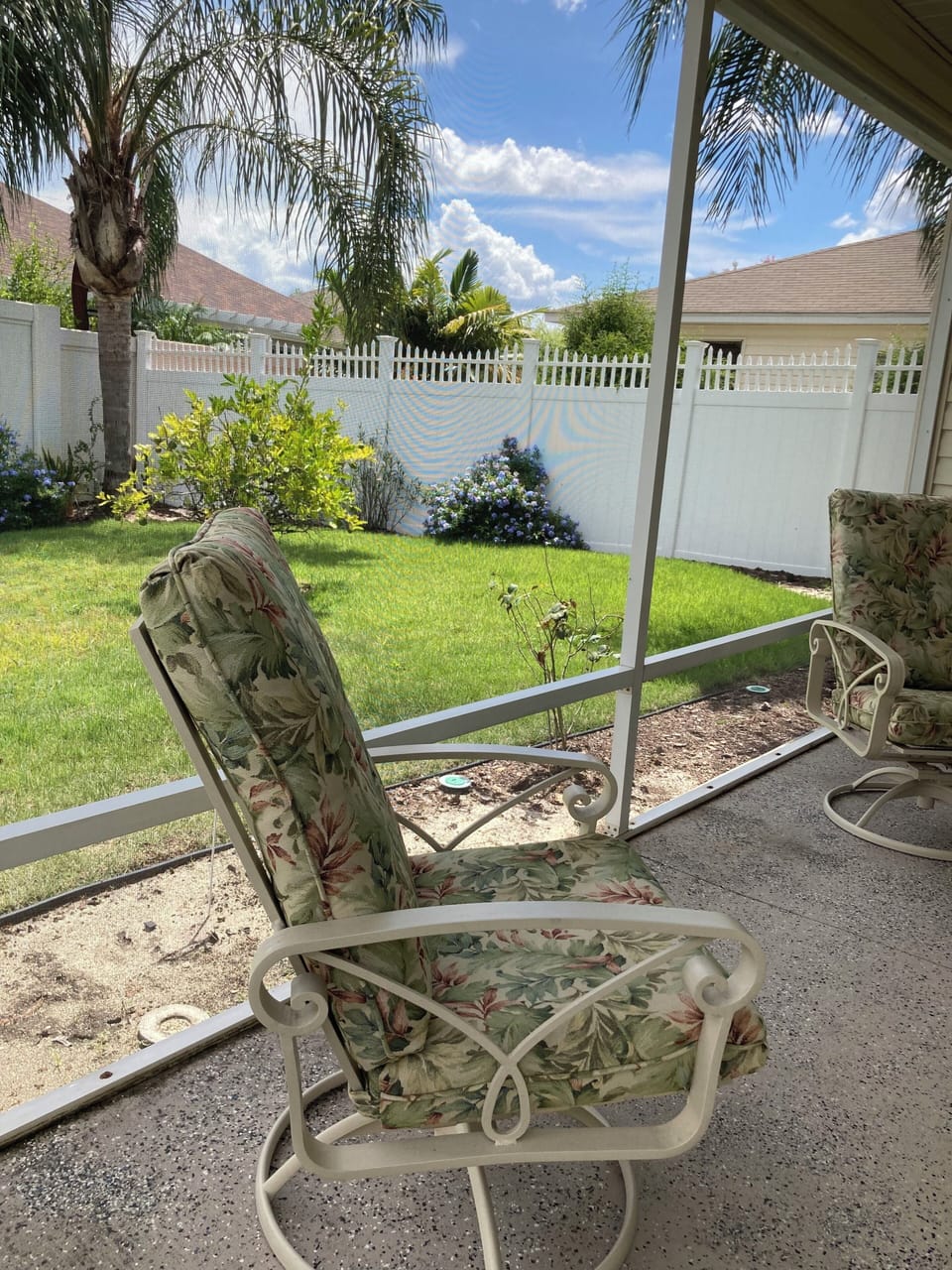
backyard from Screened Patio