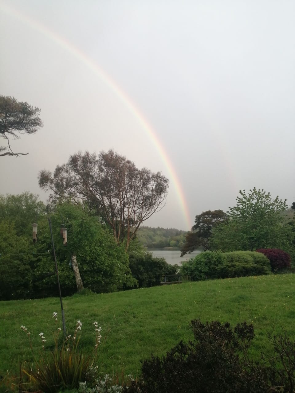 Image 31