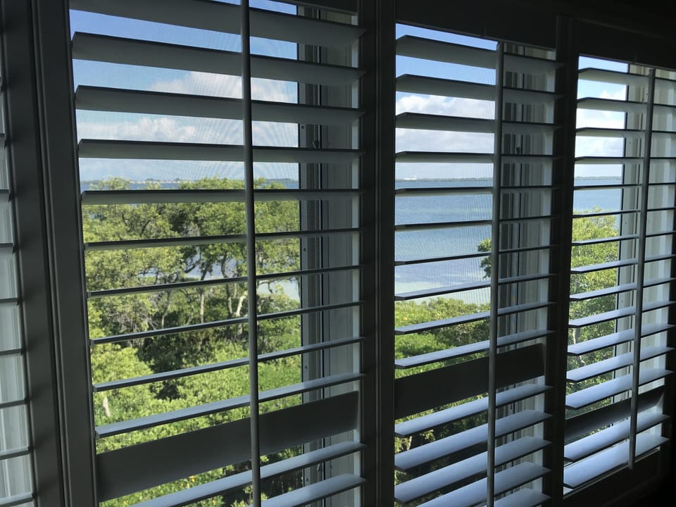 Master Bedroom View