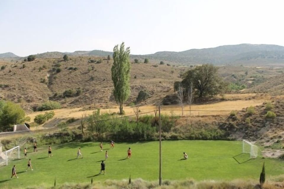 Sport court