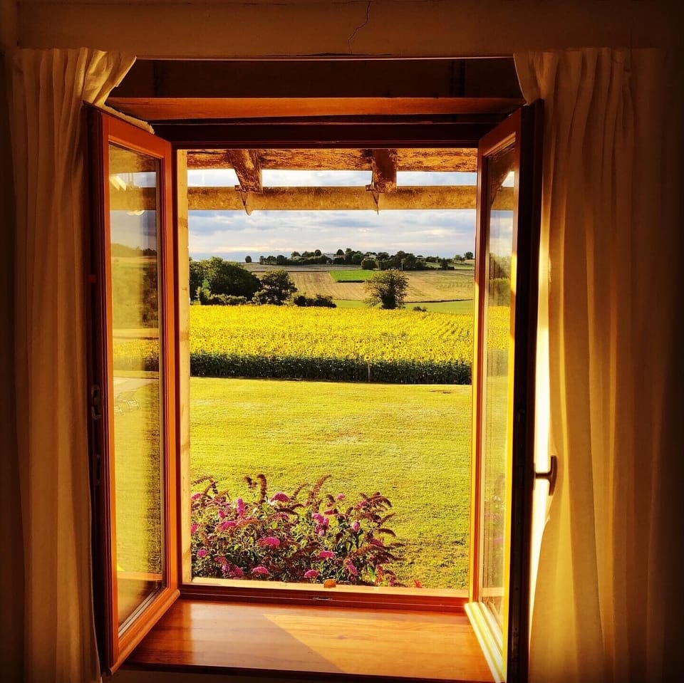 Garden view