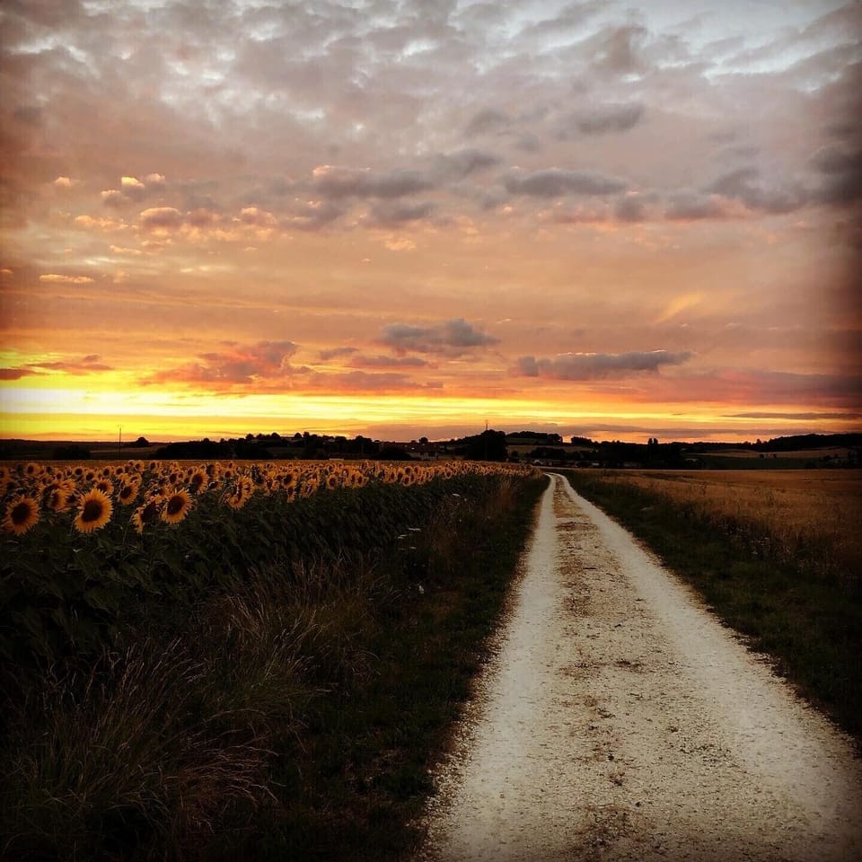 Our beautiful dusty lane