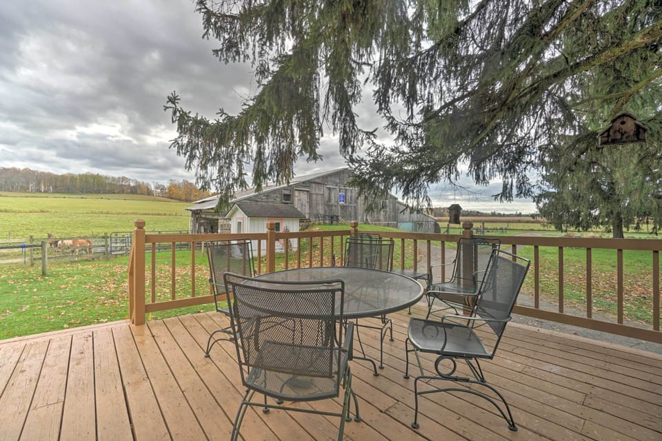 Deck