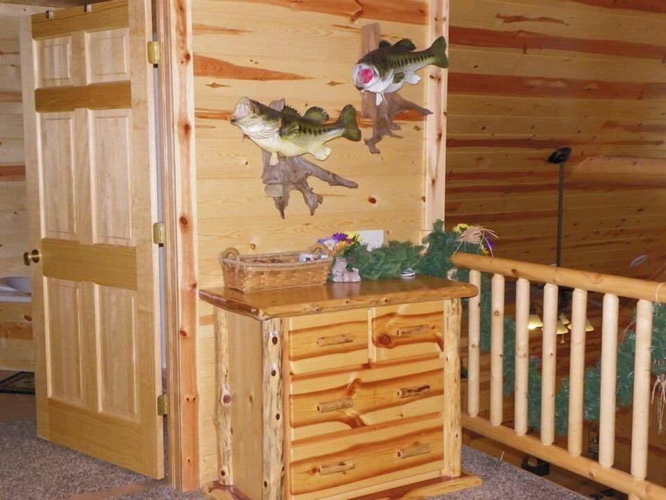 460722731_8479403745430885_1363714850705634587_n