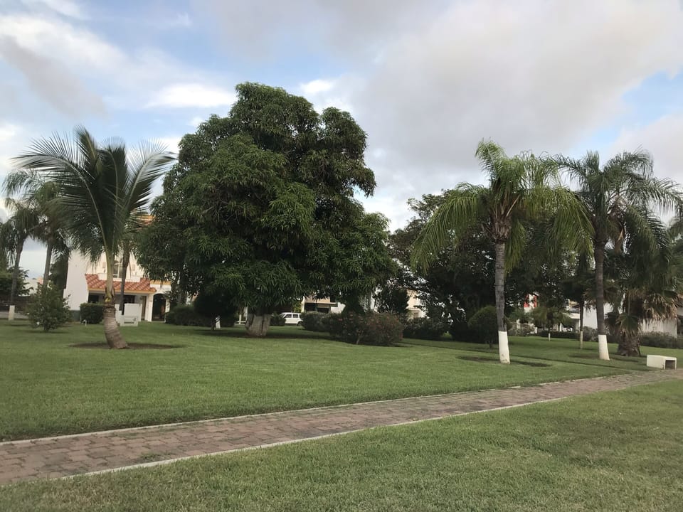 Property grounds