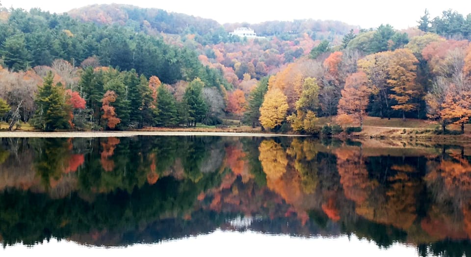 Check out Trout and Bass Lake for a great walk.
