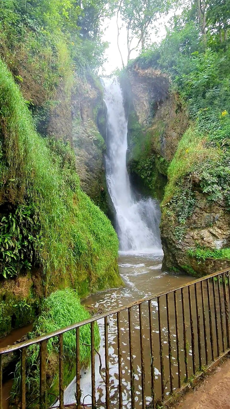 Dyserth Waterfalls

