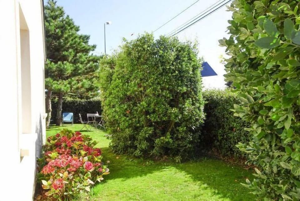 Garden [summer]