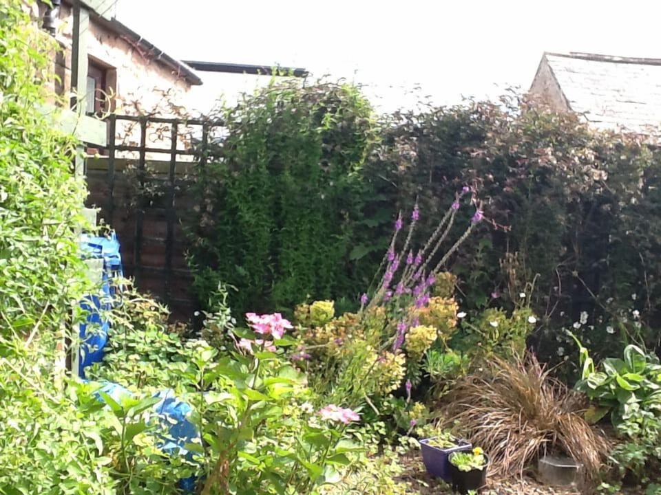 The garden faces south and is an ideal spot to enjoy a glass of wine 