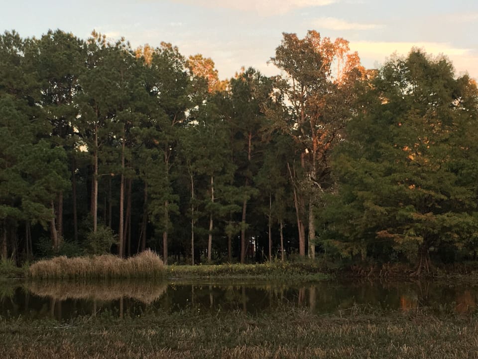 Stocked fishing pond