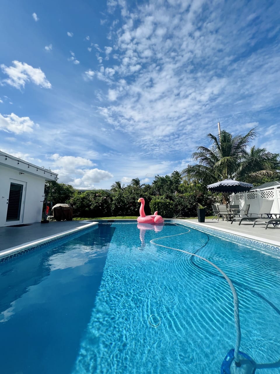 Beautiful and private LARGE pool.